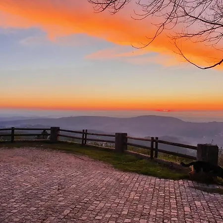 Com Olhar A Montanha *