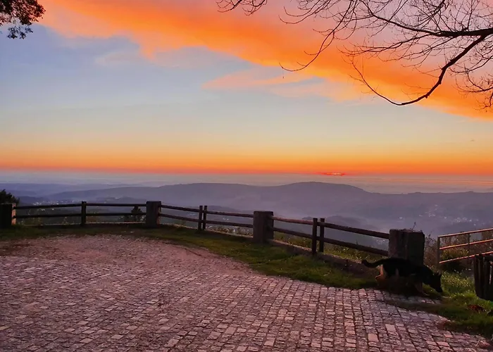 Com Olhar A Montanha *