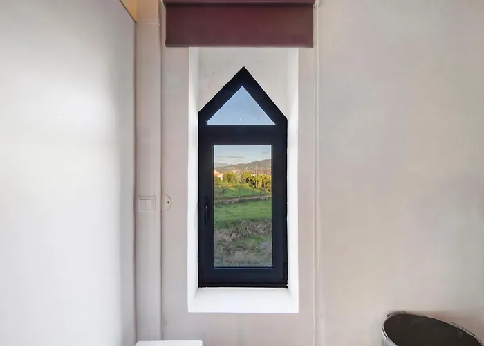 Com Olhar A Montanha Sever do Vouga